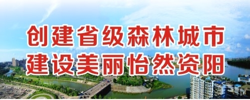 欧洲肥屄创建省级森林城市 建设美丽怡然资阳